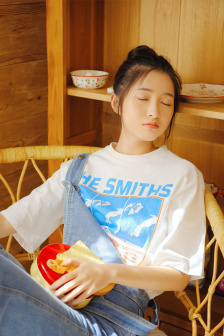 飞机上的秘密服务H